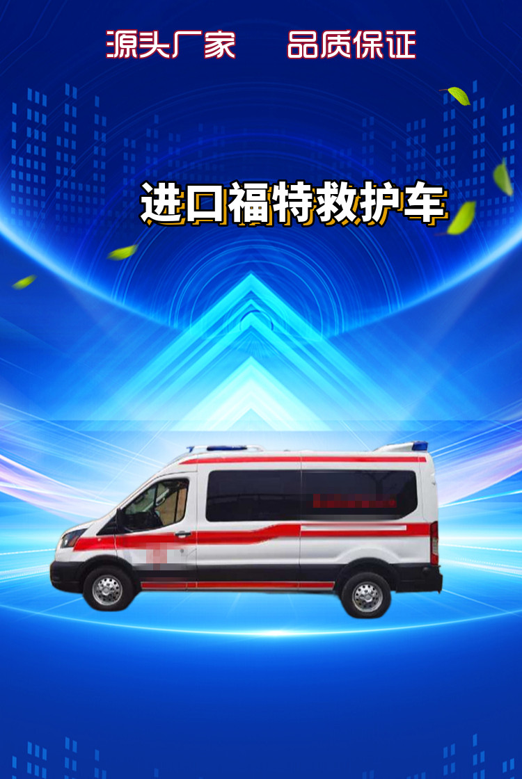 进口福特救护车(图1)
